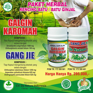 Illustration for article titled Nama Obat Batu Ginjal